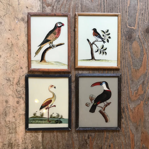 Vintage Glass Framed Bird Painting - Medium