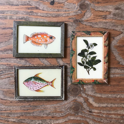 Vintage Glass Framed Fish & Plant Painting - Small