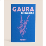 Gaura 'Beeblossom' Seeds