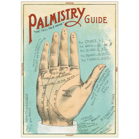 Palmistry Guide Print