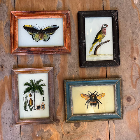 Vintage Glass Framed Animal Paintings Small