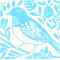 Blue Bird Coaster