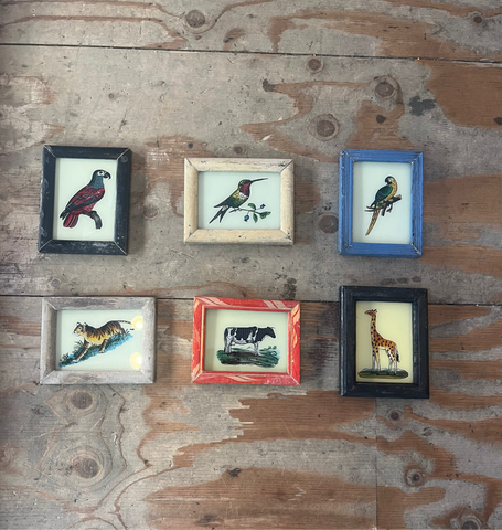 Vintage Glass Framed Paintings Insects and Animals - Mini