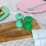 Travel Salt & Pepper Mills - Green