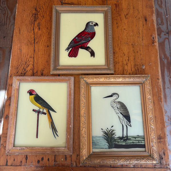 3 Glass Framed Prints of Birds - Yellow and Red bird, Blue and Red bird, White stork 