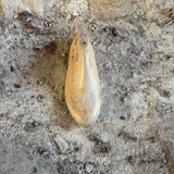 Vintage American Shoe Lasts