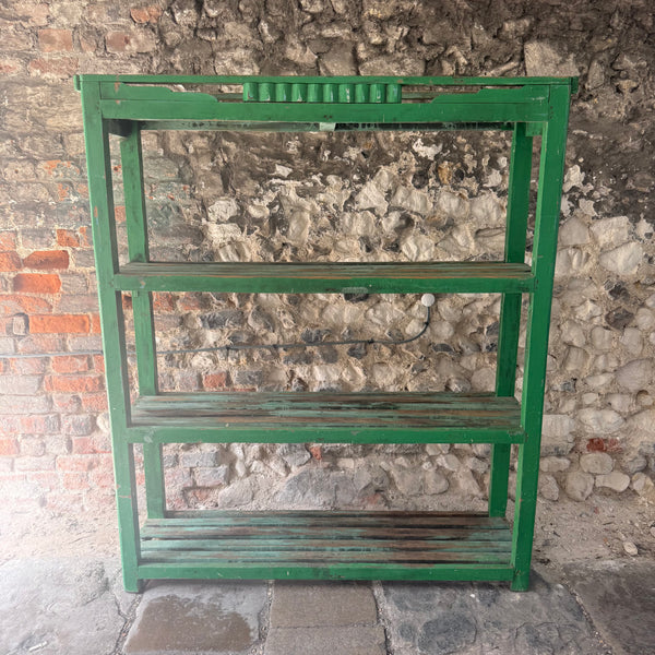 Vintage Indian Green Shelving Unit