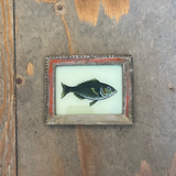 A small framed art piece featuring a painted fish on a pale background, mounted on a rustic wooden wall.