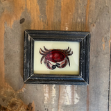 A small framed art piece featuring a red crab illustration on a cream background, set in a dark distressed frame and displayed on a rustic wooden surface.