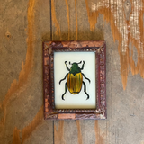 A small framed beetle art print with a yellow and green beetle on a white background, set in a distressed reddish-brown frame, displayed on a rustic wooden surface.