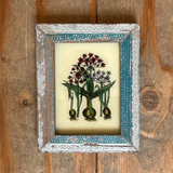 A small framed botanical art print depicting onions, displayed on a rustic wooden plank background.