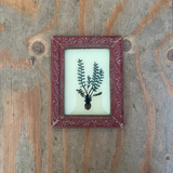 A small framed botanical art print featuring a green leafy plant illustration, housed in a distressed red frame, displayed on a rustic wooden plank background.