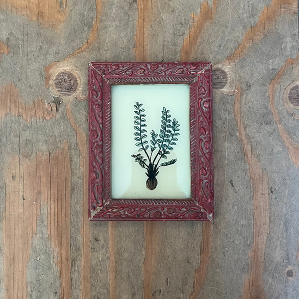 A small framed botanical art print featuring a green leafy plant illustration, housed in a distressed red frame, displayed on a rustic wooden plank background.