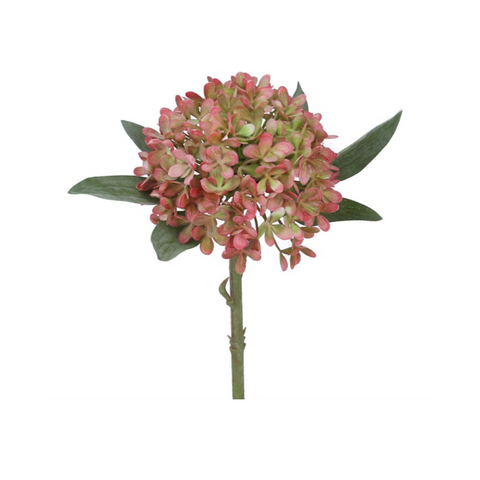 Antique Pink Mini Hydrangea