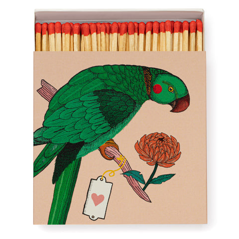 Parrot Matches by Ariane Butto