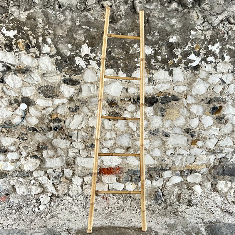 Bamboo Display Ladder