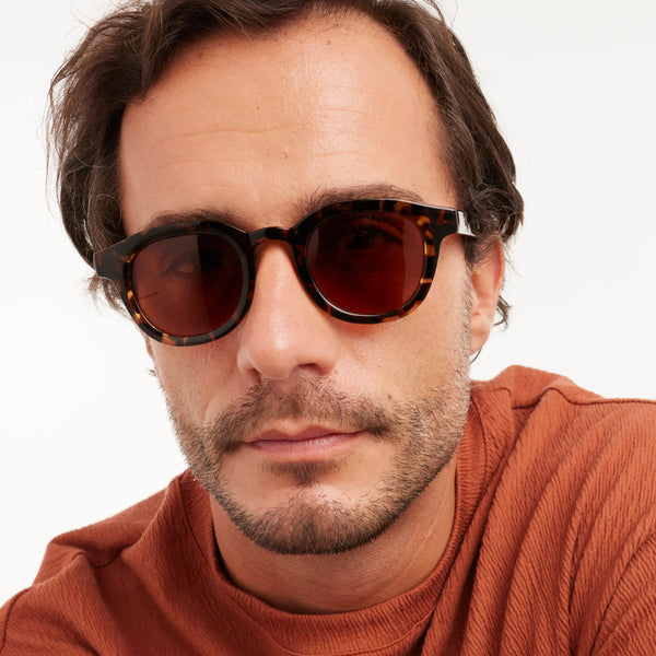 Barner Sunglasses Andy Glossy Tortoise