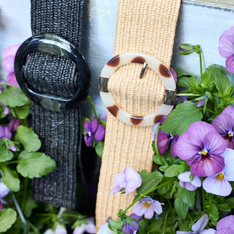 files/Black_Colour_Dalma_Belt_Situ.jpg