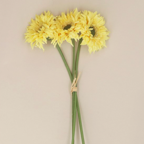 yellow flowers on beige background 