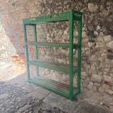 Vintage Indian Green Shelving Unit