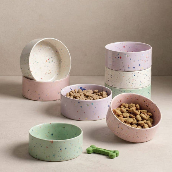 Set of colorful ceramic pet bowls with pet food and a bone toy on a neutral background