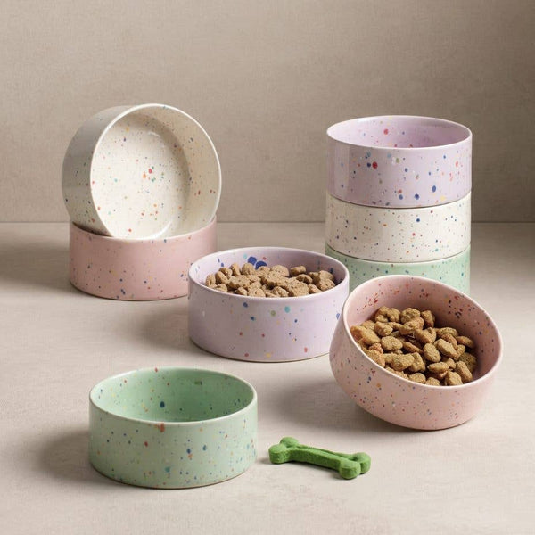 Set of colorful ceramic pet bowls with pet food and a bone toy on a neutral background