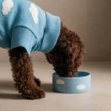 Dog drinking from a blue ceramic bowl with cloud designs on a beige surface.