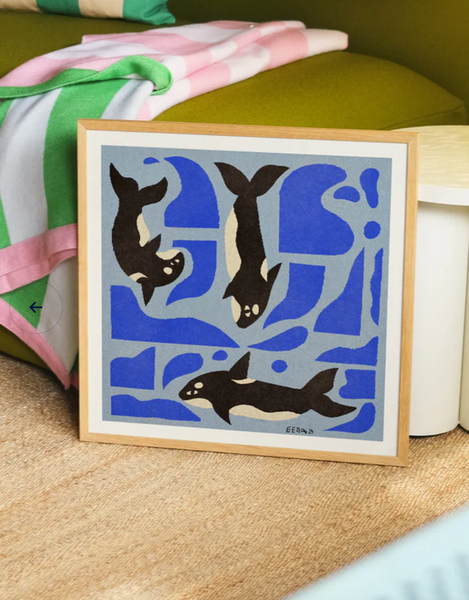 Enikő Eged - Orca Side