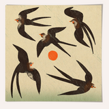 Enikő Eged - Dancing Birds Framed Print