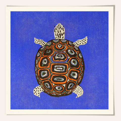 Enikő Eged Turtle Blue Framed Print