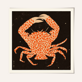 Eniko Eged Spotted Calico Crab
