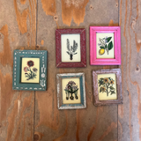 Five small framed botanical art prints with vintage-style wooden frames arranged on a rustic wooden plank wall.
