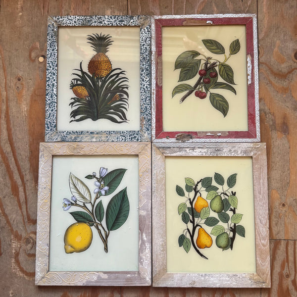 Four framed botanical illustrations on a wooden background