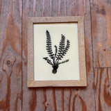 Framed black and white fern print on a wooden background
