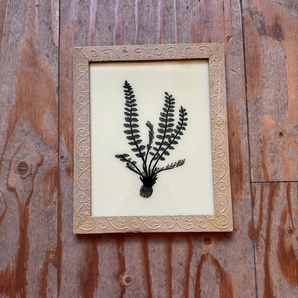 Framed black and white fern print on a wooden background