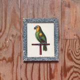 Framed illustration of a parrot on a wooden panel