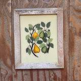 Framed illustration of pears on a wooden background