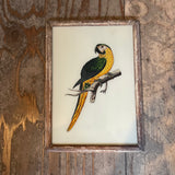 Vintage Glass Framed Paintings  Birds - Medium
