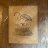 Vintage Bird Lithogram