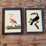 Vintage Glass Framed Bird Paintings - Large