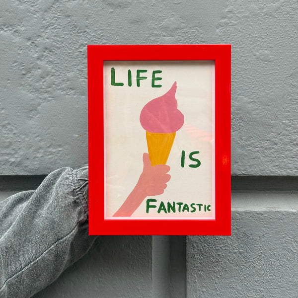 David Shrigley Life is Fantastic Framed Print