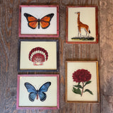 Vintage Glass Framed Paintings Nature - Medium