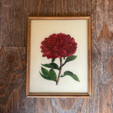 Vintage Glass Framed Paintings Nature - Medium