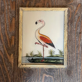 Vintage Glass Framed Paintings  Birds - Medium