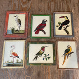 Vintage Glass Framed Paintings  Birds - Medium