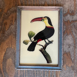 Vintage Glass Framed Paintings  Birds - Medium
