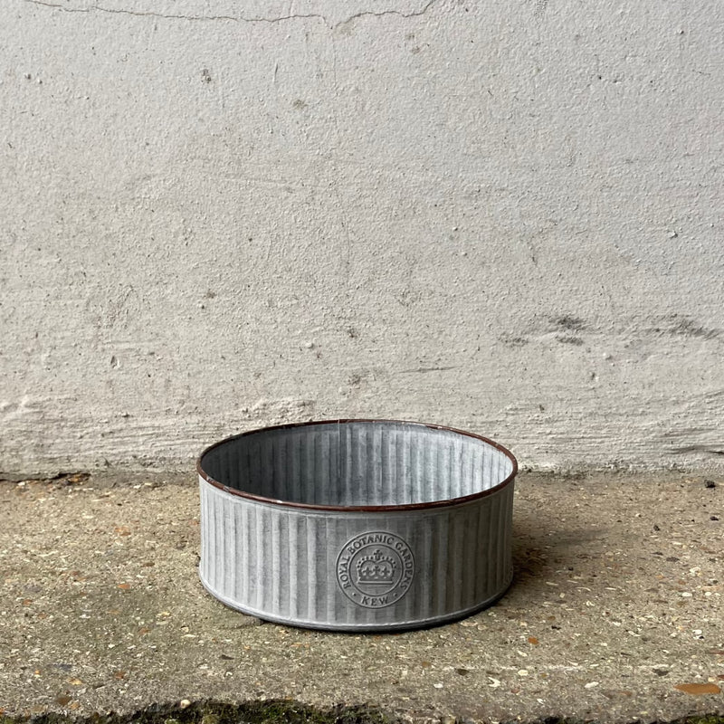 Kew Gardens Round Ribbed Zinc Cactus Planter