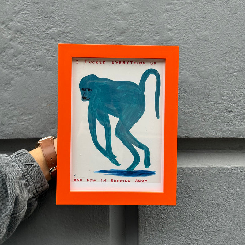 David Shrigley I Fu*ked Everything Up Framed Print