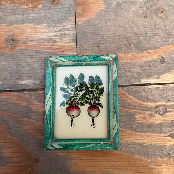 Vintage Glass Framed Paintings Fruit and Veg - Extra Small