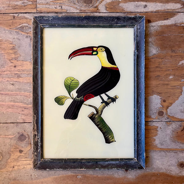 Vintage Glass Framed Bird Paintings - Large